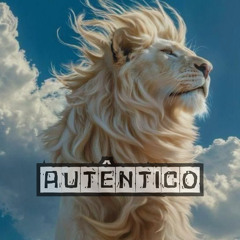 Groovibe - Autêntico (Preview)