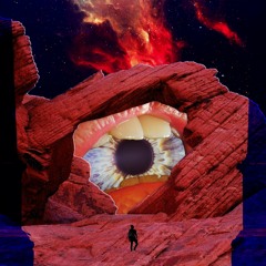 Are You Coming With Me