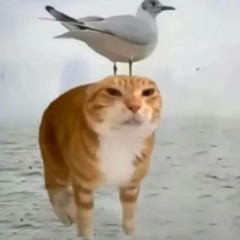 EVIL PLAYA - AINT BARRIN' THAT (RARE)