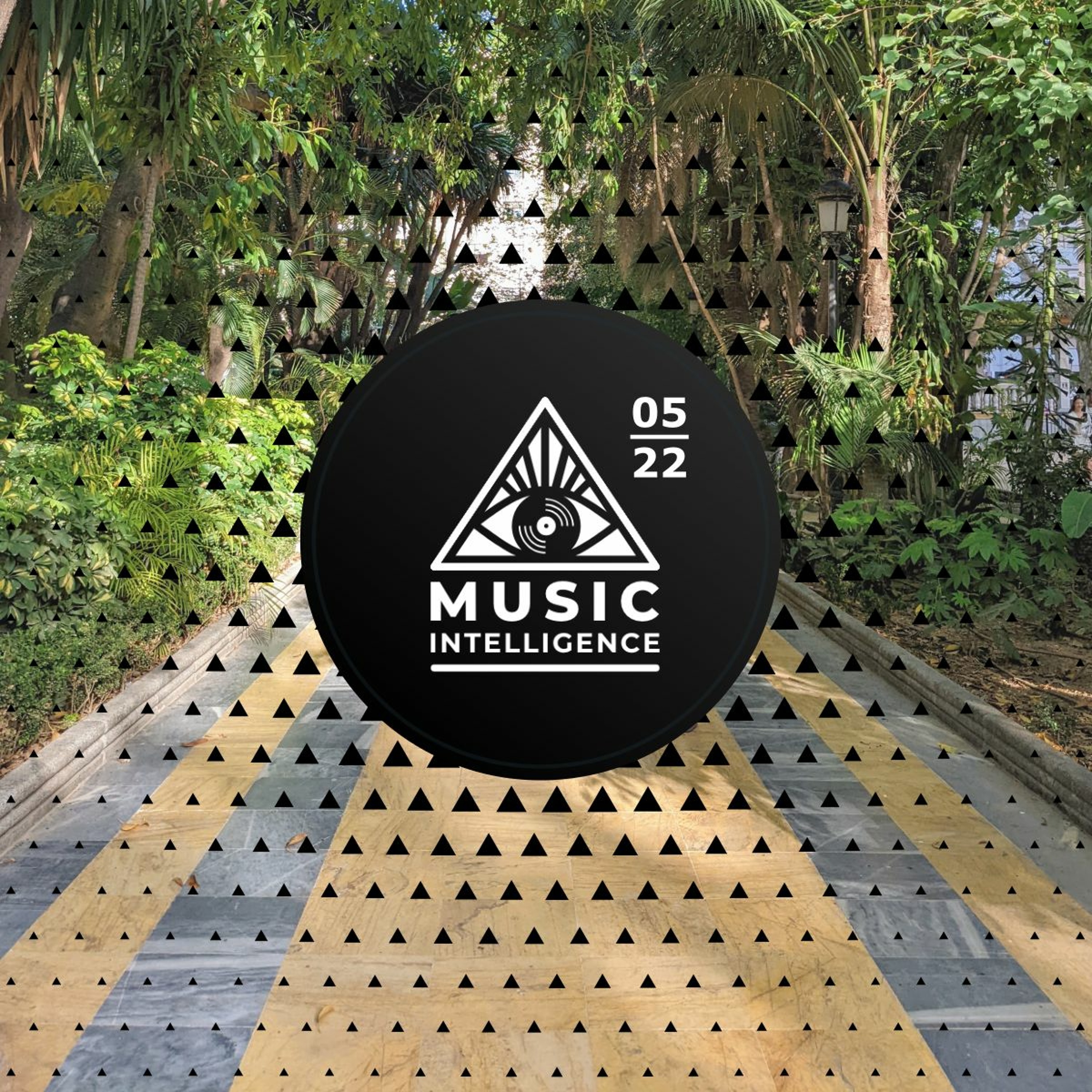 Music Intelligence Podcast