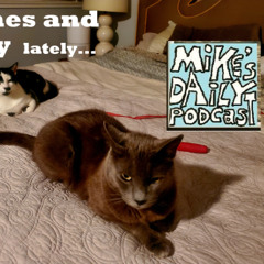 MikesDailyPodcast 3177 Seeing