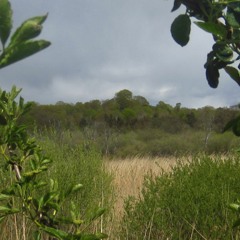 Dejlig Er Jorden - Er Jorden Dejlig