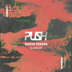 David Fesser - Slang [PUSH LABEL]