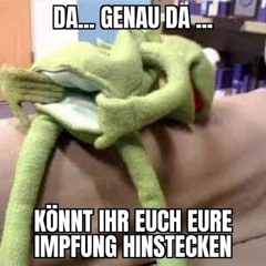 P L A Y L I S T       I I