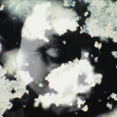 Silence [EP · 2025]