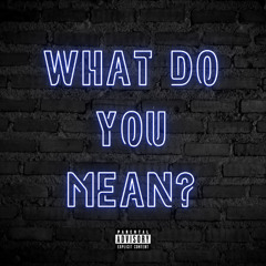 What Do You Mean?