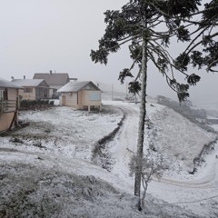Flocos de neve caem na Serra catarinense e impulsionam turismo de inverno