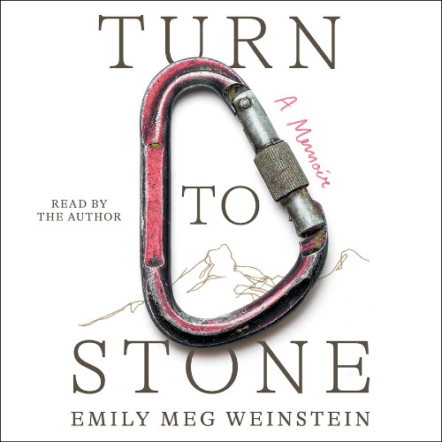 TURN TO STONE Audiobook Excerpt