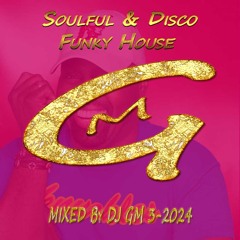 Soulful & Disco Funky House 3-24  DJ GM