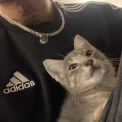 IDOL 2 ft. fafabian, brokeboirubio