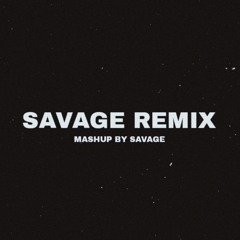Зима (Savage Remix)