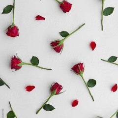 ترجمة اغنية تركية سيني سيفيورم_♥️_.mp3