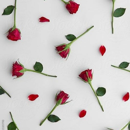 ترجمة اغنية تركية سيني سيفيورم_♥️_.mp3