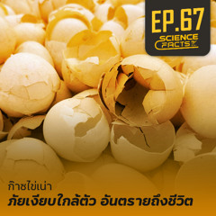 Science Facts EP.67  ก๊าซไข่เน่า อันตรายถึงตาย