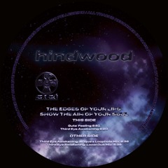 𝐇𝐔𝐑𝐅𝐂𝐋𝐔𝐒𝐈𝐕𝐄 ➟ Hindwood - Guts' Feeling
