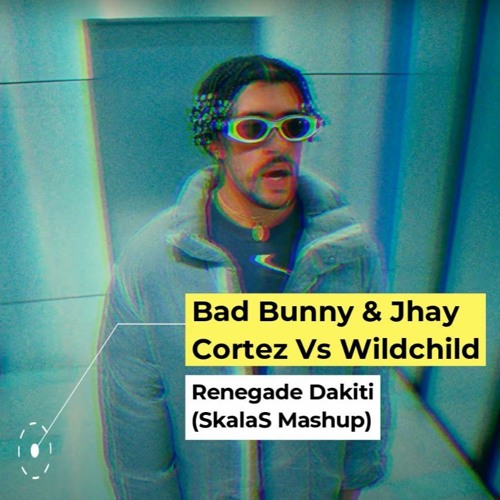 Bad Bunny & Jhay Cortez Vs Wildchild - Renegade Dakiti (SkalaS Mashup)