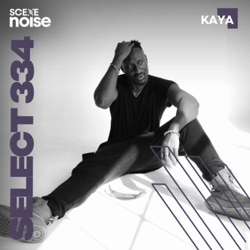 Select 334: Mixed by KAYA