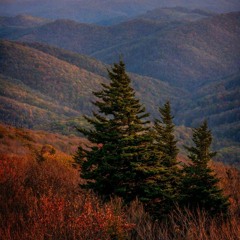 Minha vida é tua, Senhor!