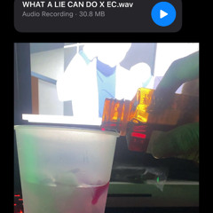 WHAT A LIE CAN DO X EC