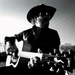 Hank Williams, Jr. - "A Country Boy Can Survive"