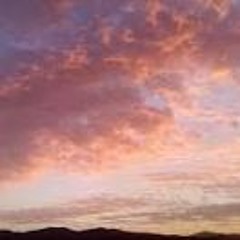 Inmagic
