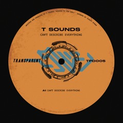 T Sounds - Can't Describe Everything
