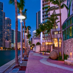 Type beat Miami succès story...seleyart