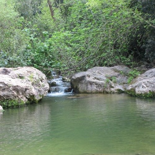 שלו הייתי ויפרפרני במפל התנור
