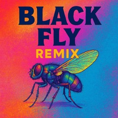 black fly final remix