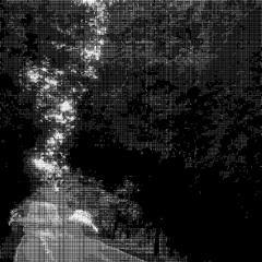 moss+bam delay track 1