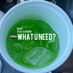 what you need (feat. iluvbani)