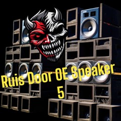 Ruis Door OE Speaker 5