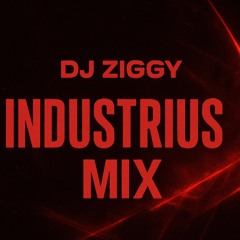 INDUSTRIUS MIX