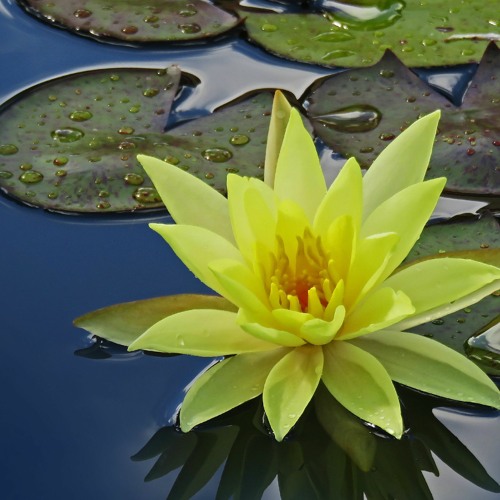 The Benefits of Meditative Relaxation