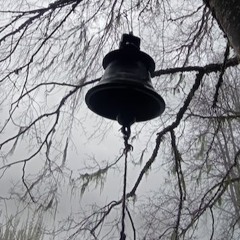 TERRESTRE INMINENTE INMEDIATO