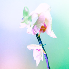 desenrredar el corazón