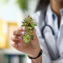 Medizinisches Cannabis braucht Sicherheit – DoktorABC