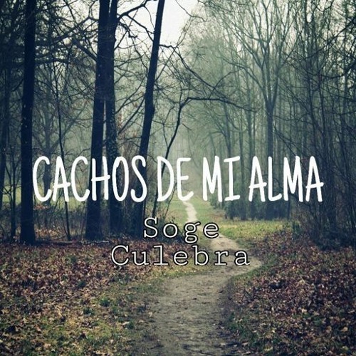 Stream SOGE - CACHOS DE MI ALMA by ZMEJ :) | Listen online for free on  SoundCloud