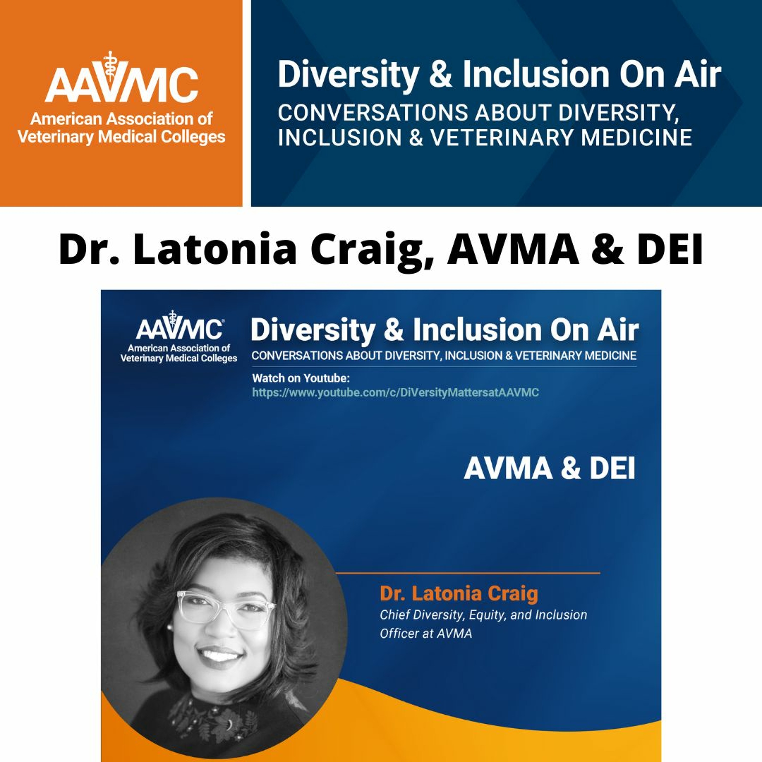 AAVMC\'s On Air: Conversations about Issues in Veterinary Medicine