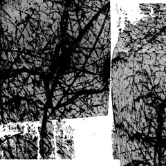 NAIND AR-17 B1 Fny - Essere assenti