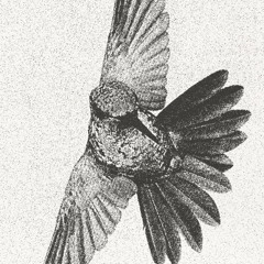 winter 2025 beat clips w/ isojune, tricksterr, cauli, bntly, bugbite