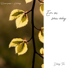 Em ơi sau này - Đặng Trí (cover by Pham Nguyen Ngoc) | Re-Compose