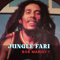 Jungle Fari Sessions // Bob Marley // 1