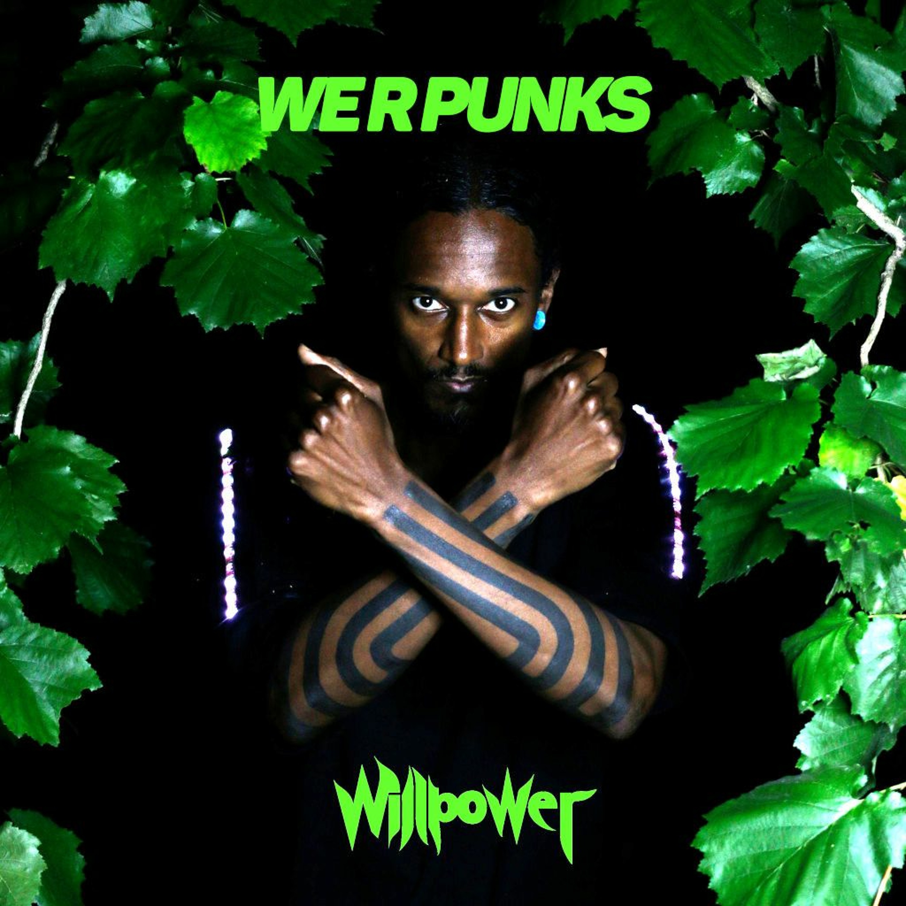 We R Punks ! episode artwork