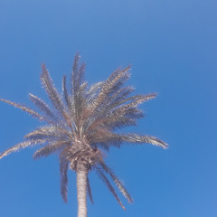 Poivre Noir Piment Rouge SAM 14 MAR 2026