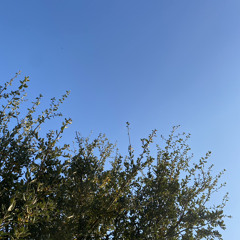 Rauschgift(prod.Xar)