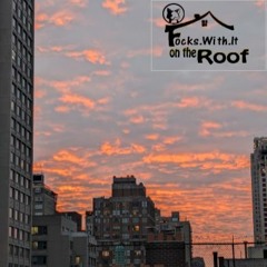 focks.with.it on the roof 005 🦊🎧