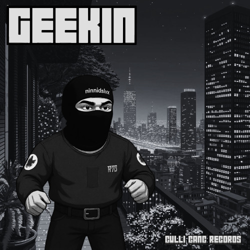 ninnidslvx - GEEKIN