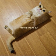 Tripping over the cat