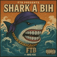 Shark a bih Ft. Big Ice